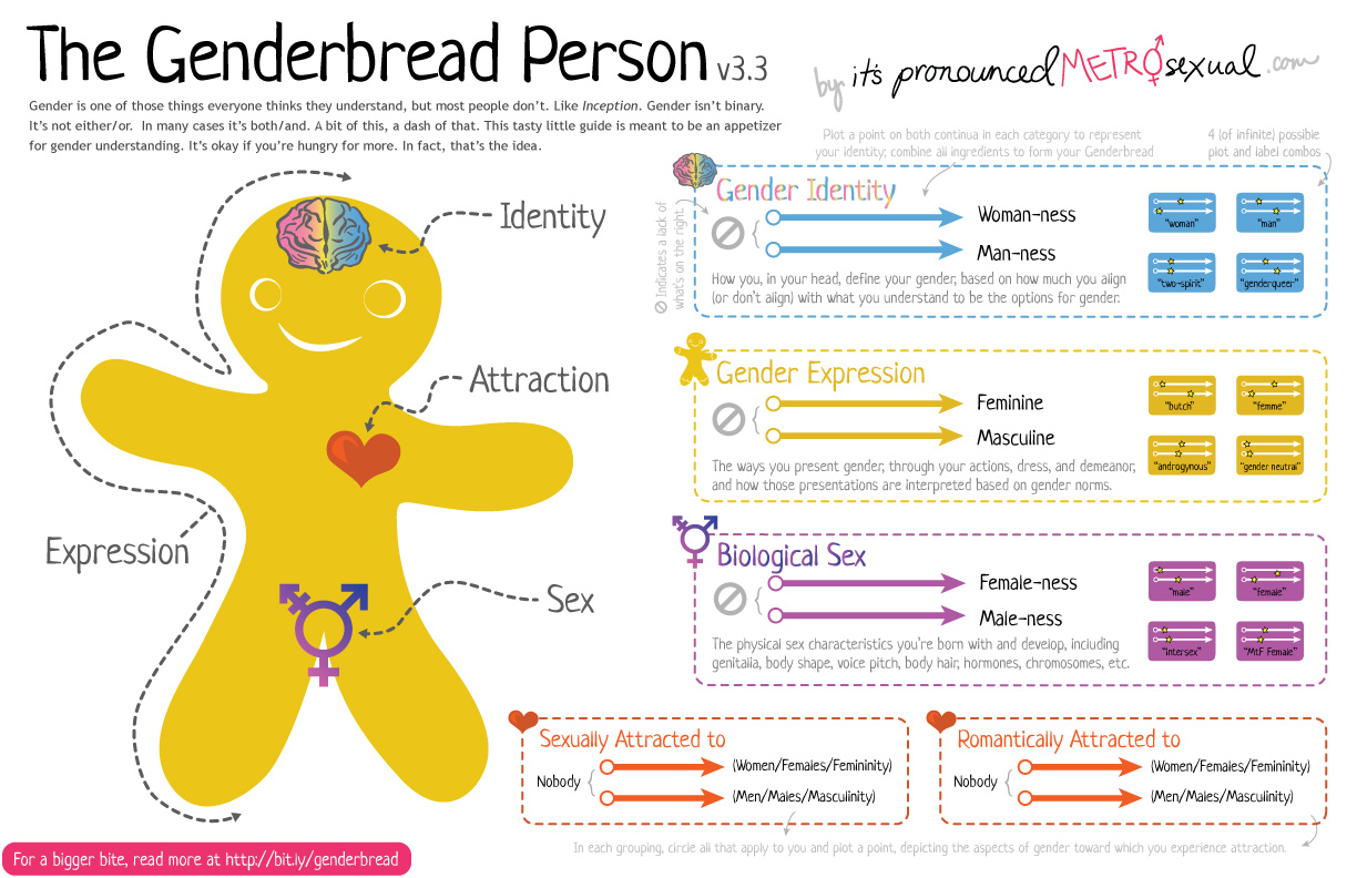 Genderbread Person 3.3