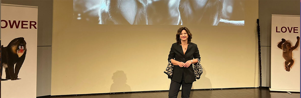 Leren van wat we al weten