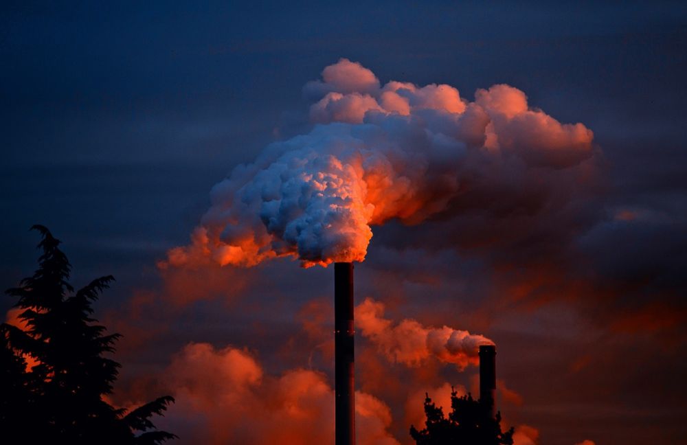 Roze Olifant: energietransitie is links