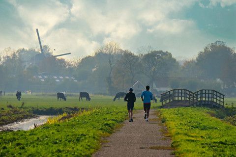 Wij Nederlanders polderen - Column DFT 5 oktober 2020