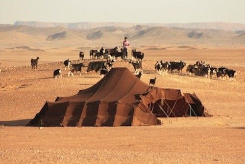 Het nieuwe werken – Nomadisch werken