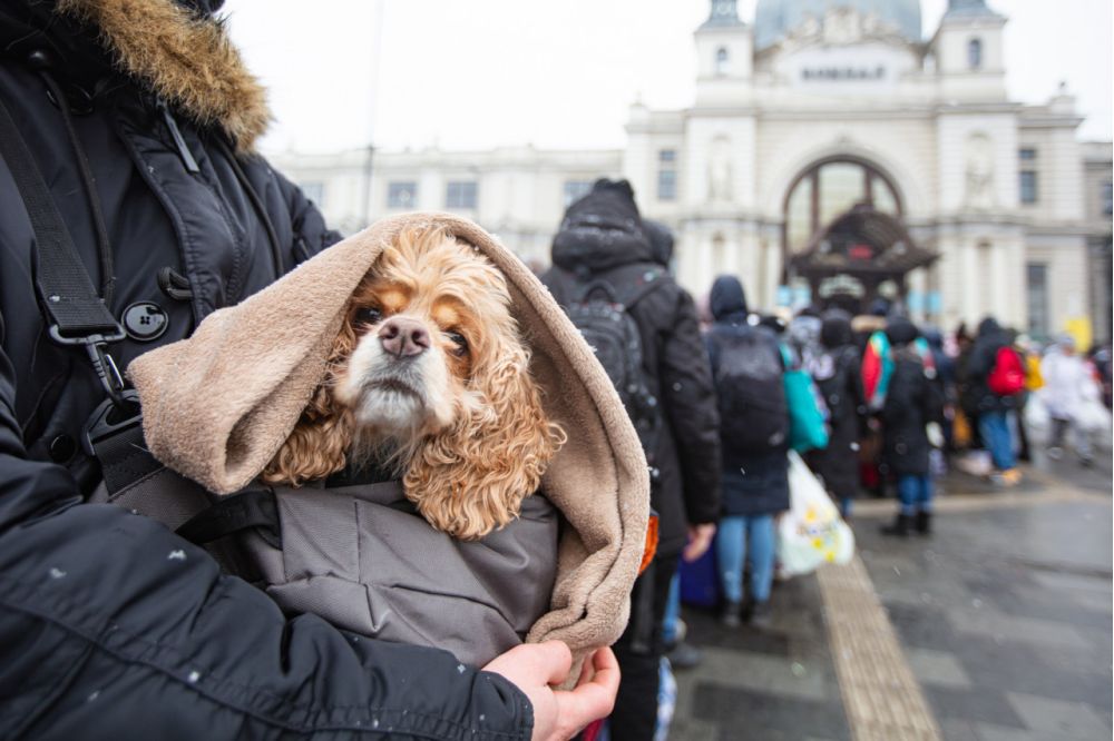 Een Oekraïens gezin in huis? Dat doe je niet zomaar